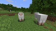 Lead can now be used to connect two entities in Minecraft (Image via Sportskeeda Gaming || Mojang Studios)