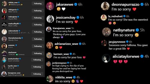 Screenshots of stars' likes and comments [Screenshots from Henley's Instagram post]
