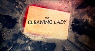 7 shows to watch if you liked The Cleaning Lady