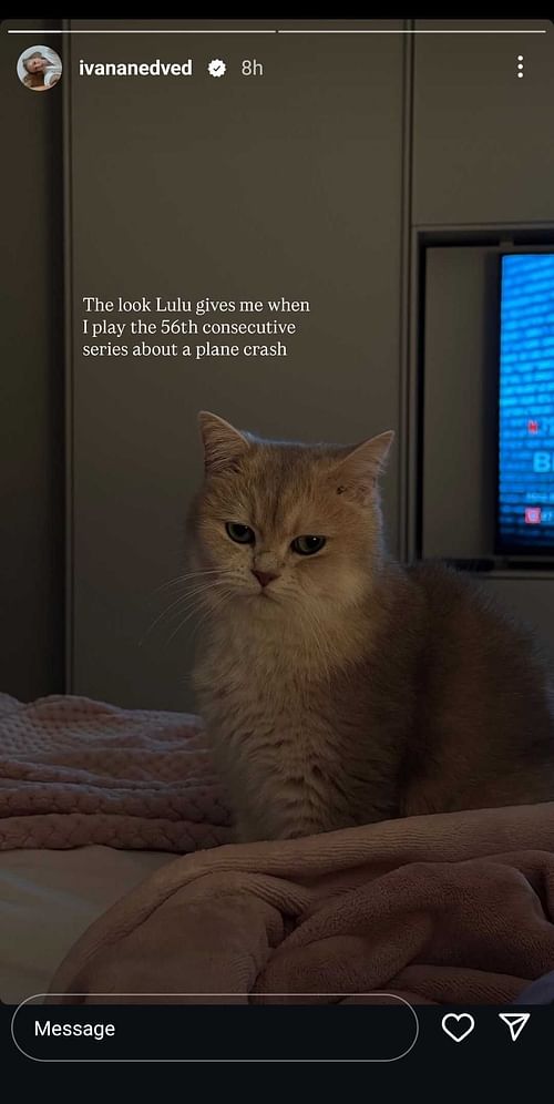 Sebastian Korda's girlfriend Ivana Nedved's Instagram Story featuring her pet cat Lulu, dated Monday, April 28, 2025 (Source: Instagram/ivananedved)