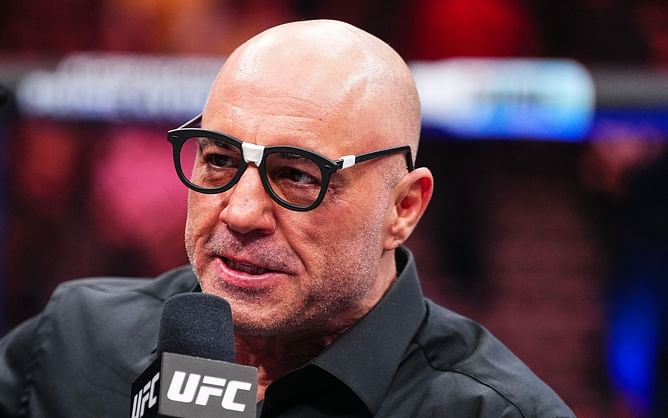 Does Joe Rogan have a hair transplant scar? Expert explains what may have gone wrong