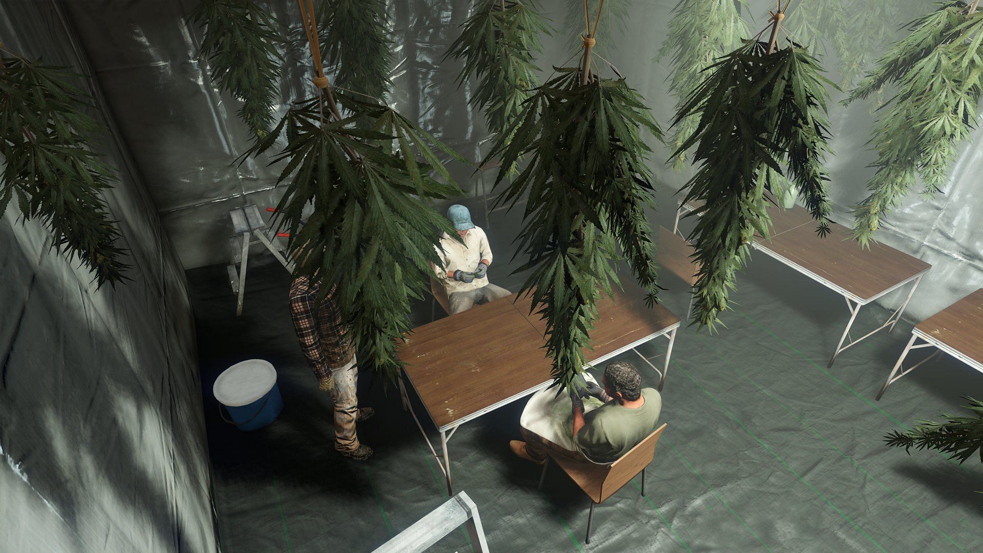Best Weed Farm location: Inside a GTA Online Weed Farm (Image via Rockstar Games)