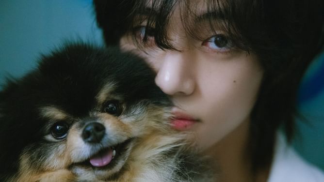 "You are deeply missed our angel"— Fans emotional as BTS' V's dog Yeontan wins Billboard's Favorite Pet Animals Among Pop Stars Around the World poll