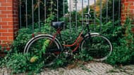 Pius's bike was found abandoned under a pile of leaves (image via Pexels)