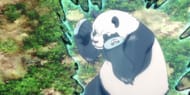 Panda as seen in anime (Image via MAPPA)