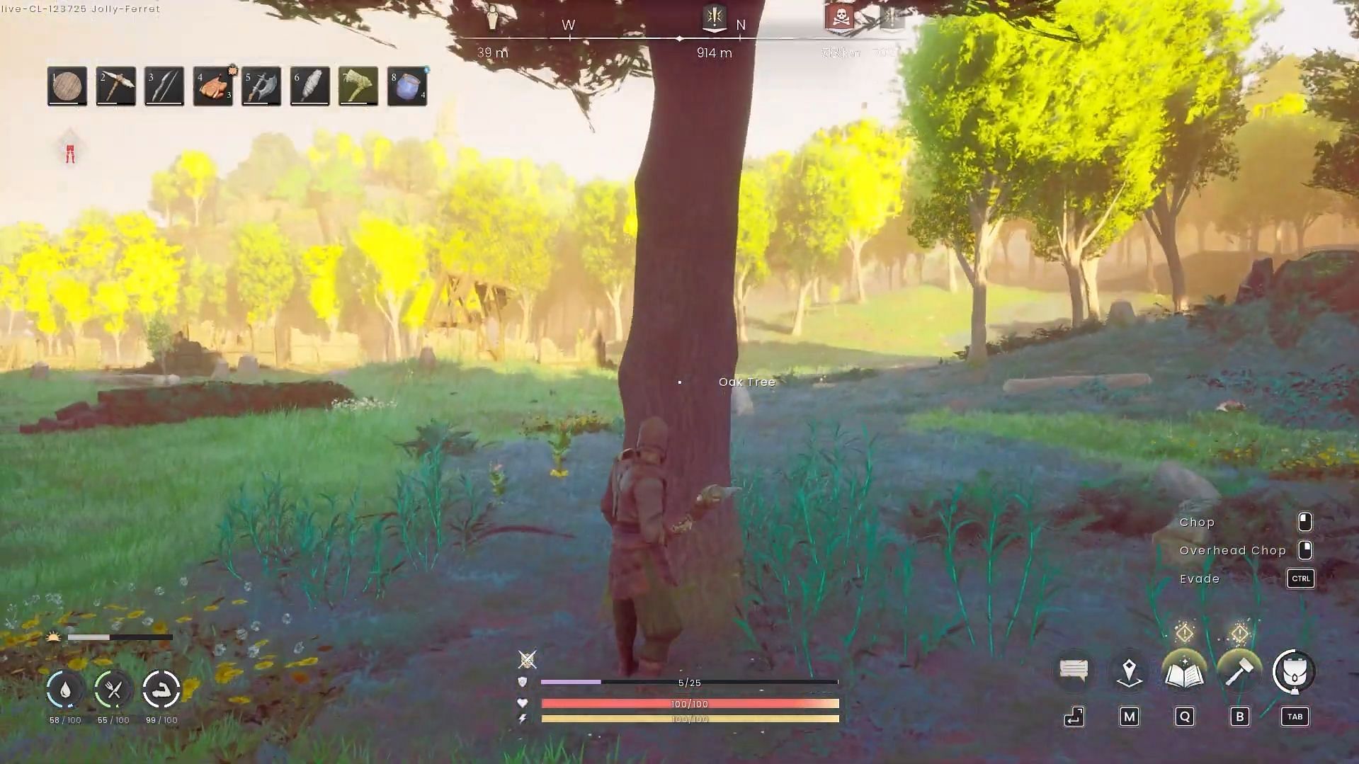 Finding Oak Trees in RS Dragonwilds (Image via Jagex || YouTube/@Ditech Gaming)