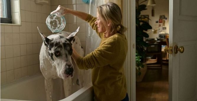 The Friend: Release date, trailer, cast, and everything we know so far