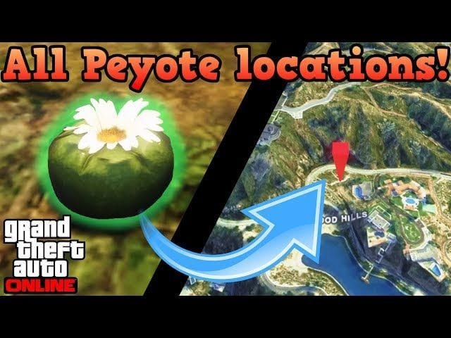 All GTA 5 Online Peyote Plants' locations (2025)
