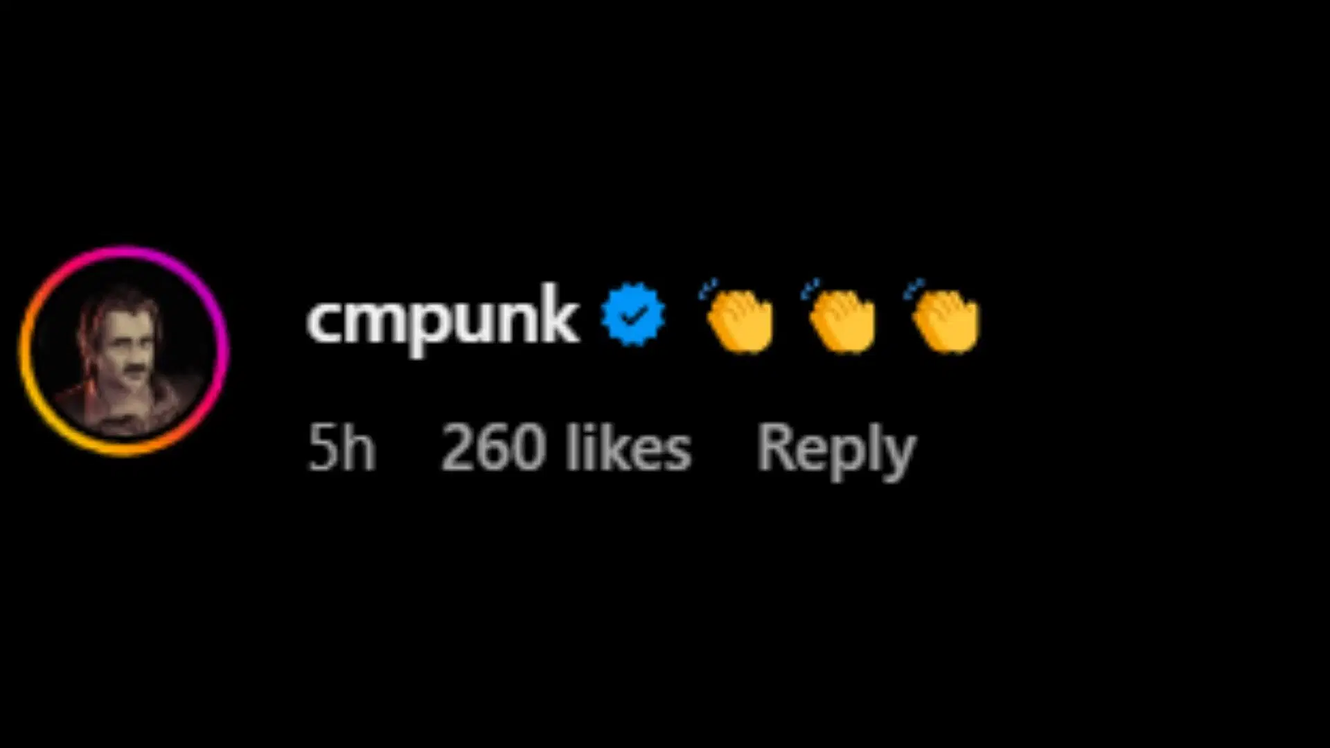 Screenshot of CM Punk&#039;s comment [Image credit: Kairi Sane&#039;s Instagram]