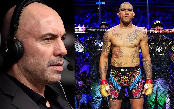 When Joe Rogan expressed admiration for Alex Pereira's "special way" of checking leg kicks: "It's different than everybody else's"