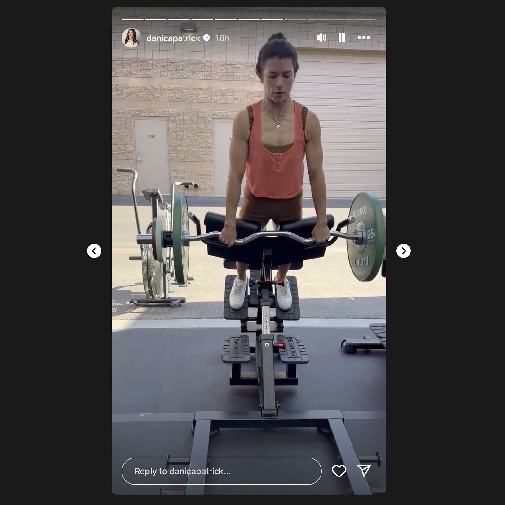 Screen grab from Danica Patrick&#039;s Instagram story/@danicapatrick