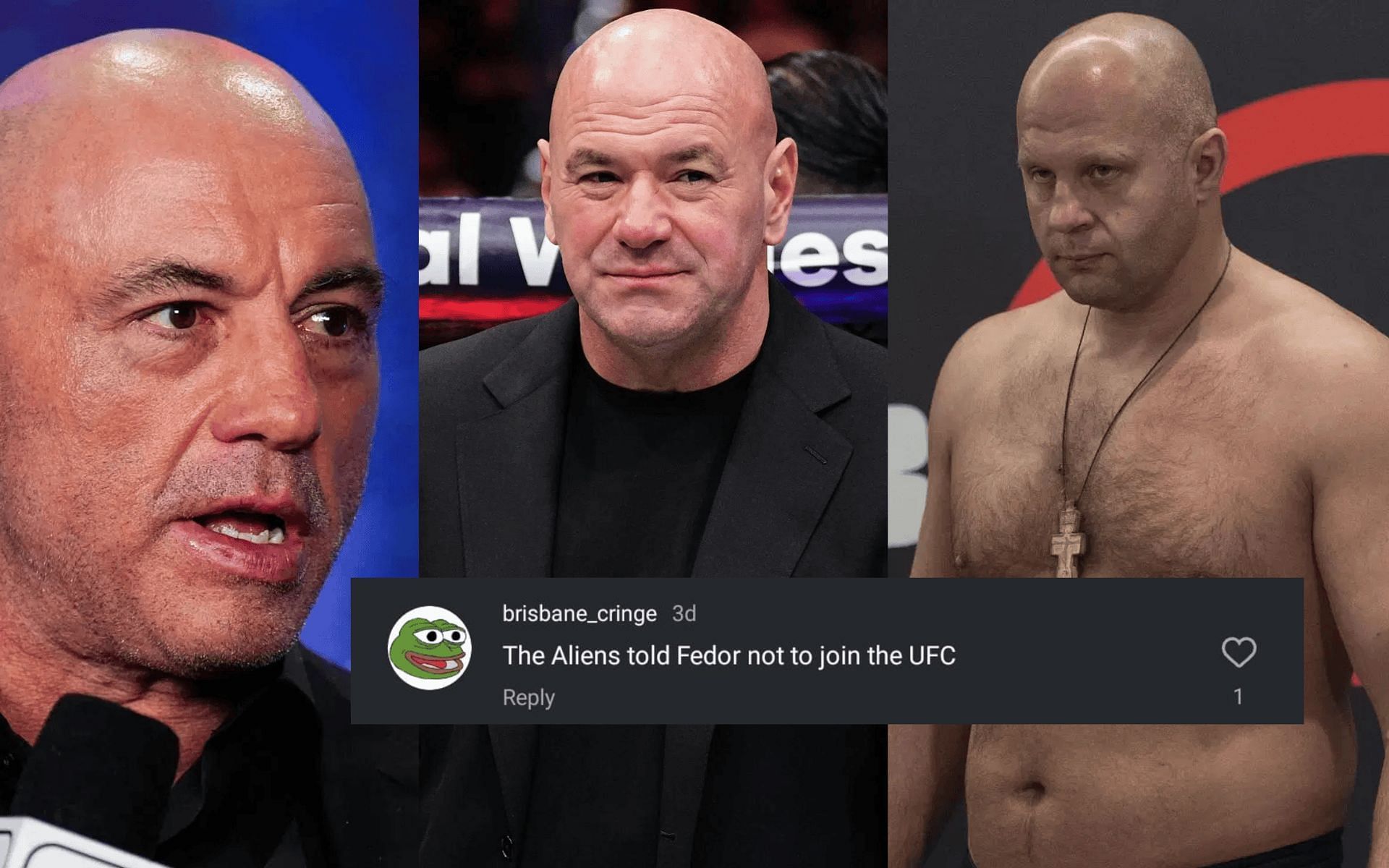 Fans react to Joe Rogan