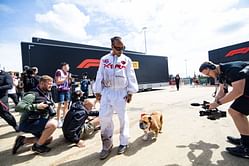 Lewis Hamilton’s dog Roscoe’s trainer issues important update about his medical condition