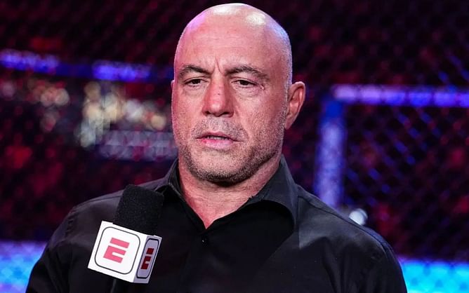Joe Rogan wants yet another MMA rule change after spotting a fighter 'blatantly' cheating at UFC 314