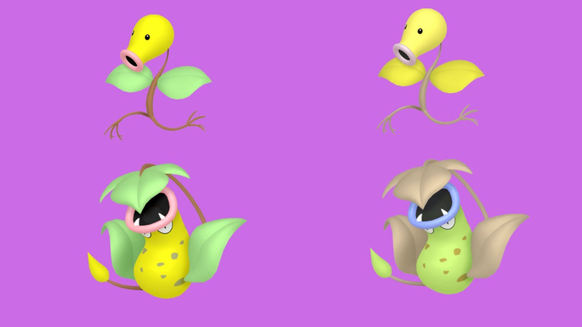 Bellesprout, Victreebel, and their Shiny forms in Pokemon GO (Image via The Pokemon Company)