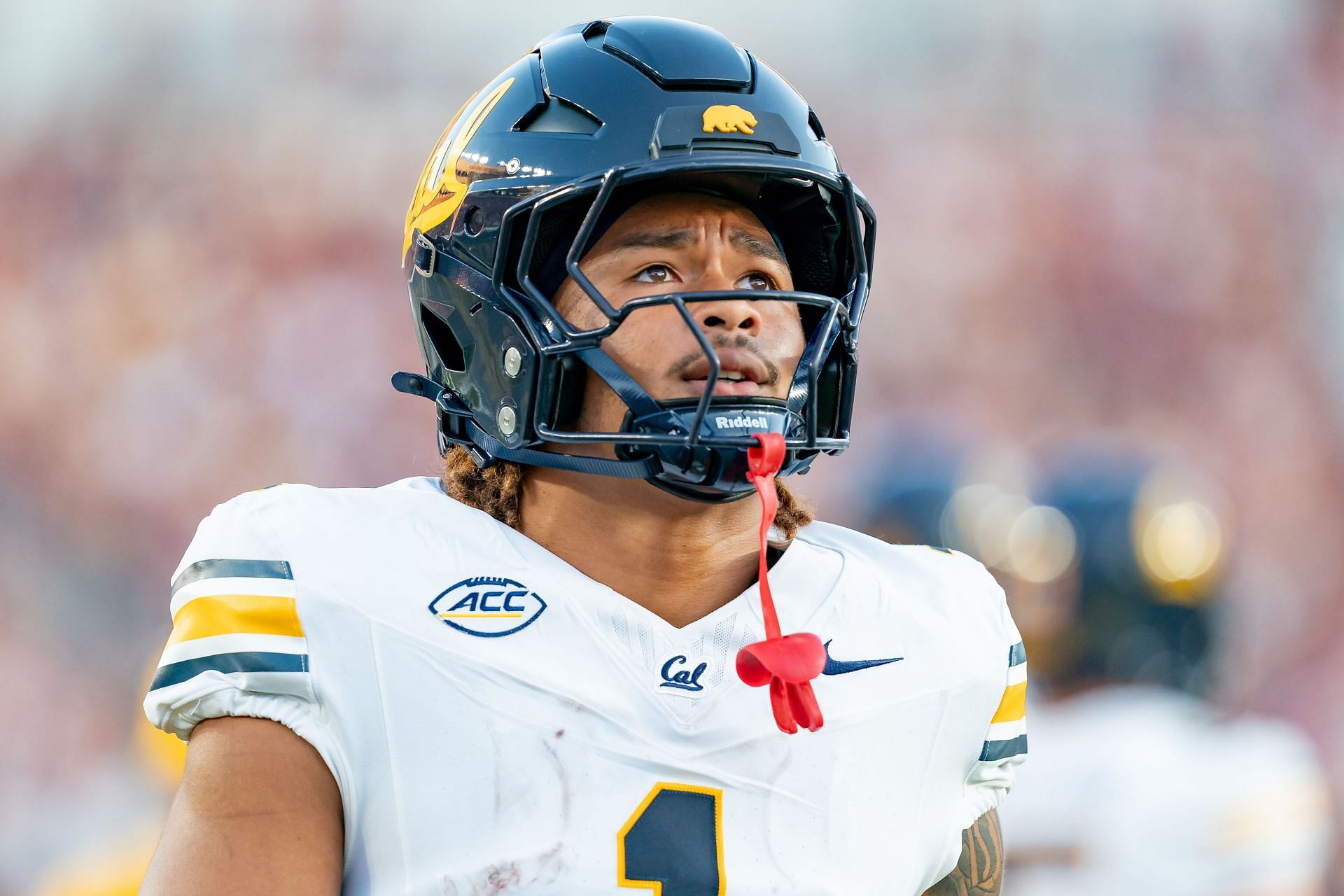 COLLEGE FOOTBALL: SEP 21 Cal at Florida State - Source: Getty