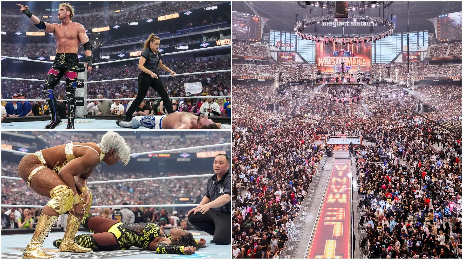 The WWE Universe and Superstars at WrestleMania 41