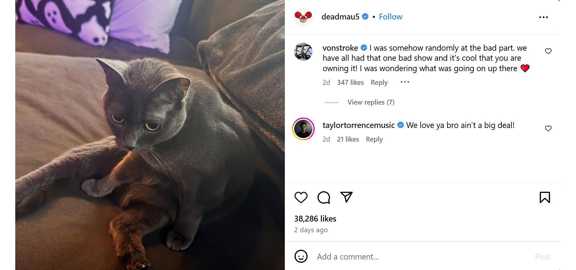 Comments seen under his post (Image via Instagram/@deadmau5)