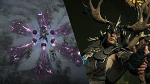 Diablo 4: Best Companion Druid endgame build guide