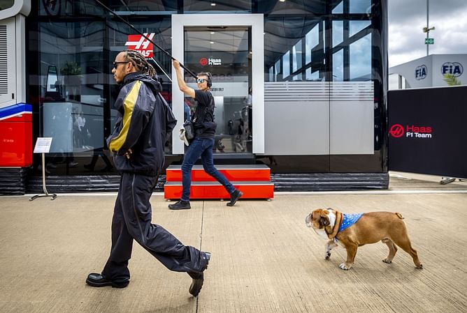 Lewis Hamilton shares adorable pictures with recovered dog Roscoe on IG