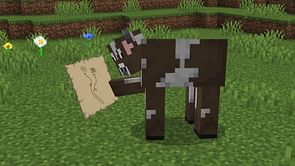 5 Minecraft biomes that deserve new features