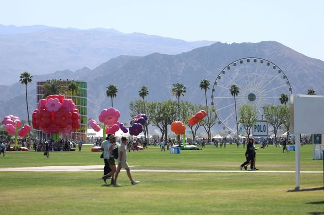 Coachella bomb threat: Everything to know as California man Davis Darvish is arrested