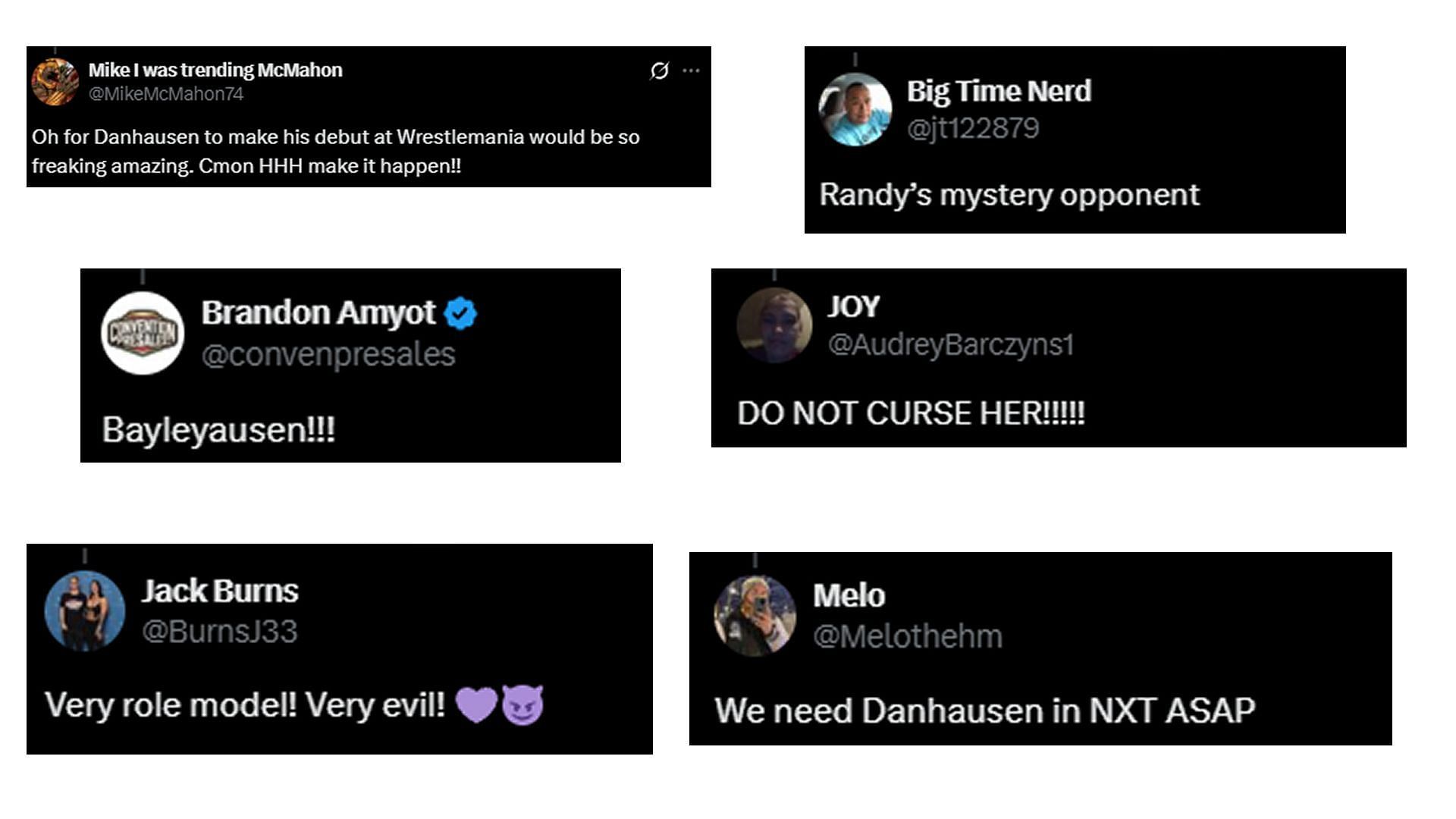 Fans react [Image source: Screenshot of fan comments on Danhausen&#039;s tweet]