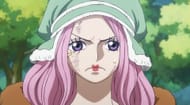 Bonney as seen in the anime (Image via Toei Animation)