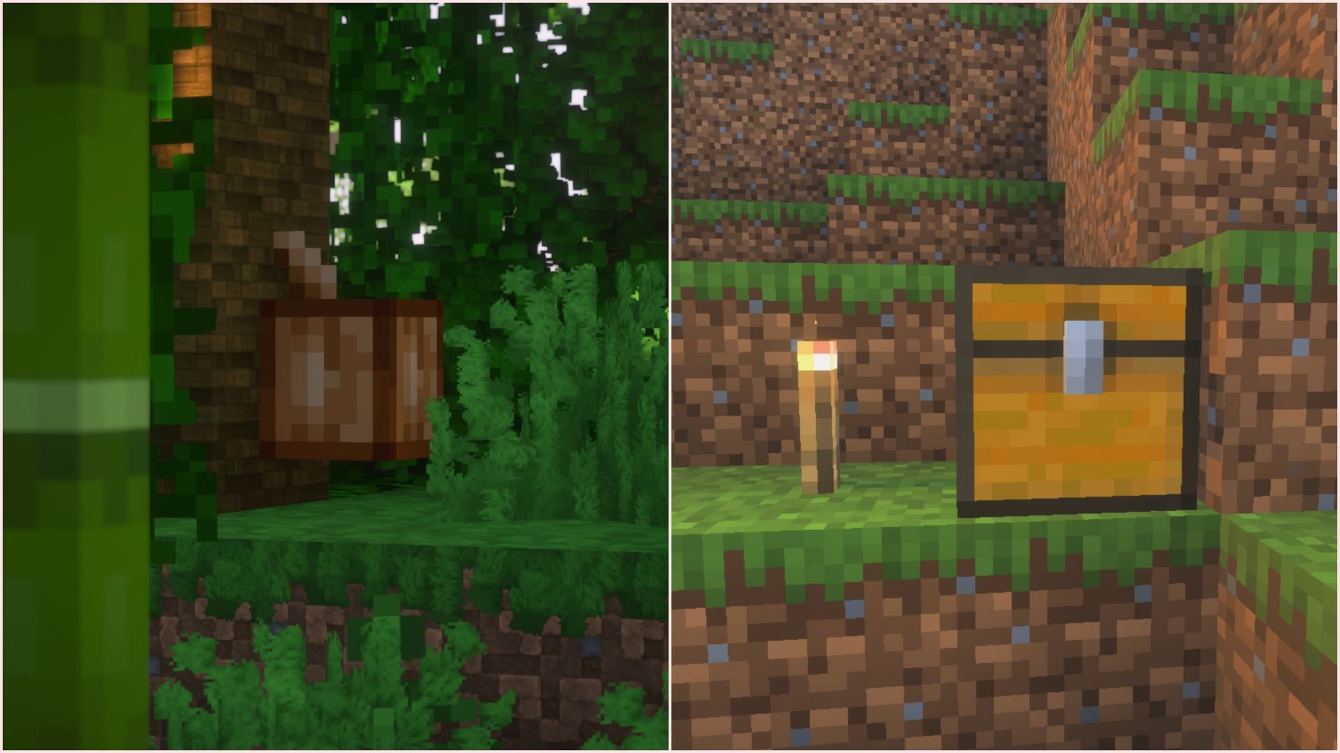 Cocoa is found naturally growing in Jungles and Bedrock Edition&#039;s bonus chest. (Image via Sportskeeda Gaming || Mojang Studios)