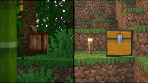 Cocoa is found naturally growing in Jungles and Bedrock Edition's bonus chest. (Image via Sportskeeda Gaming || Mojang Studios)