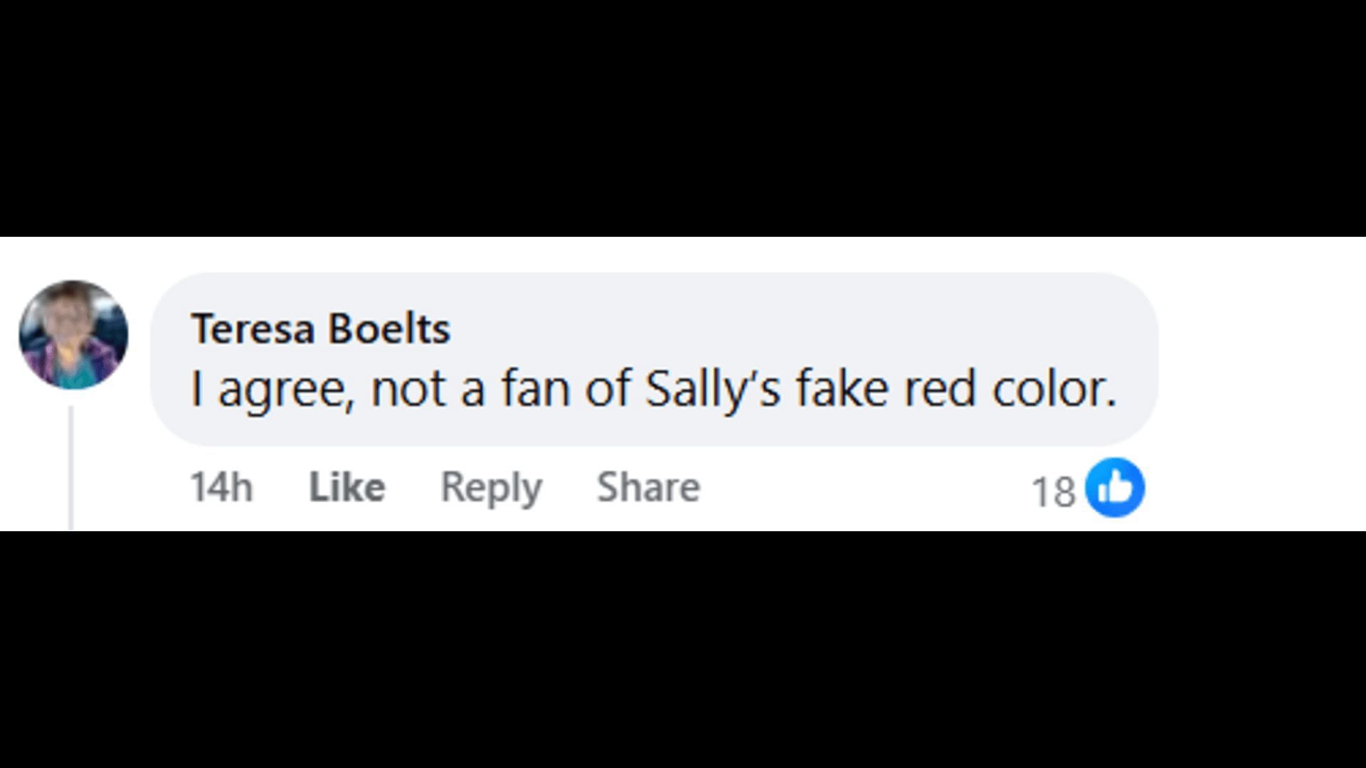 A post made by a fan, saying that Sally&#039;s red hair color looked fake (Image via Facebook/The Young and the Restless)