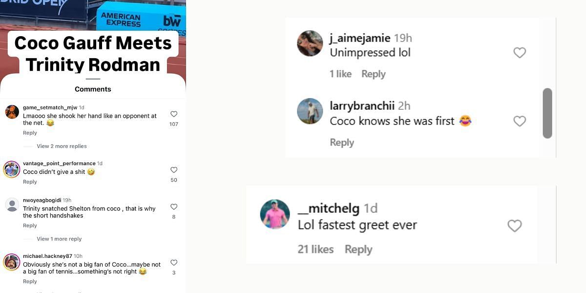Fan comments about Gauff meeting Rodman (Image: Instagram)