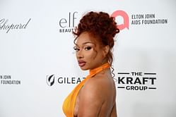"That's alright": DJ Akademiks reacts to Megan Thee Stallion's new single Whenever garnering 1.2 million streams in four days