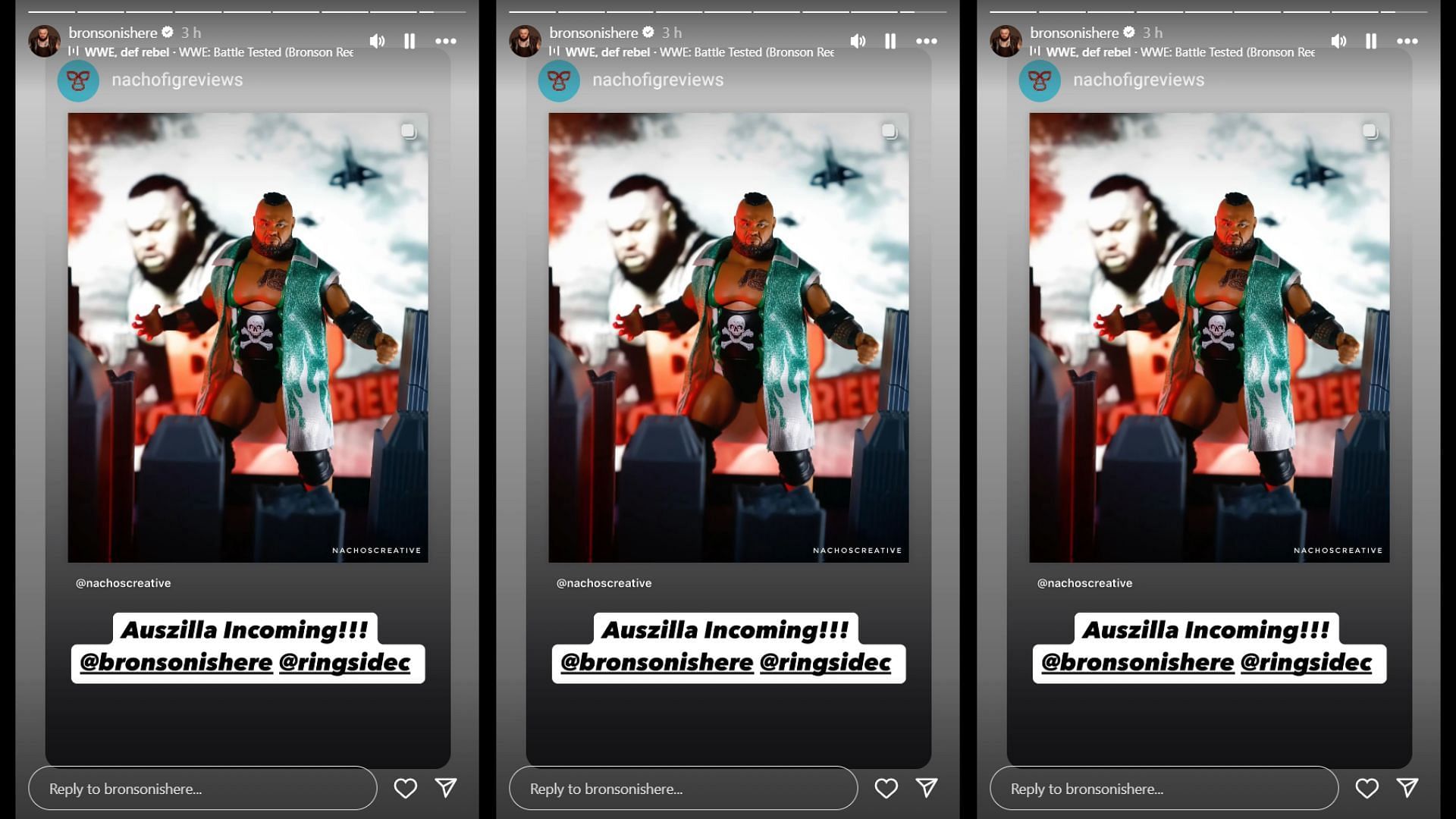 A fan gives Bronson a new nickname [Picture courtesy: Screenshot of Reed&#039;s Instagram Story]