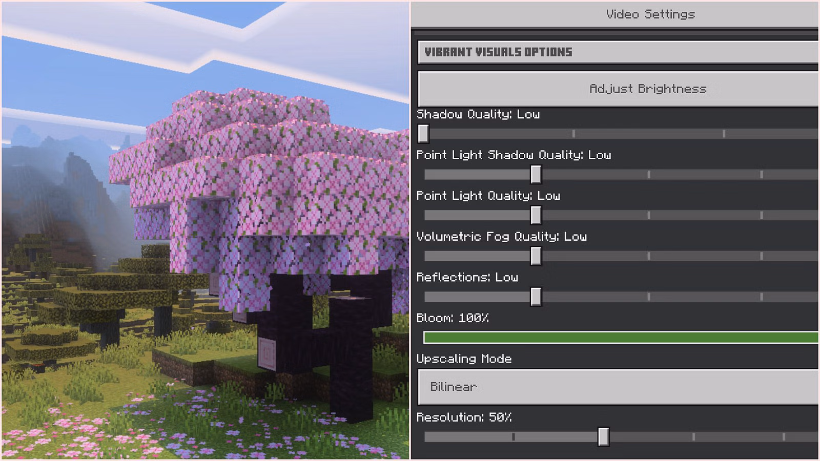 Best Minecraft Vibrant Visuals settings