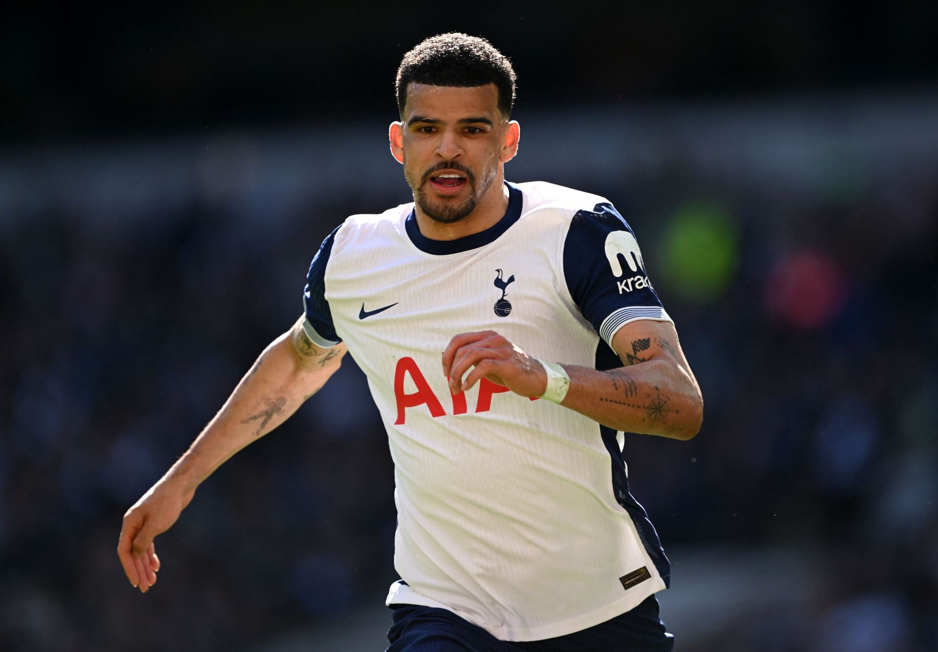 Tottenham Hotspur FC v Southampton FC - Premier League - Source: Getty