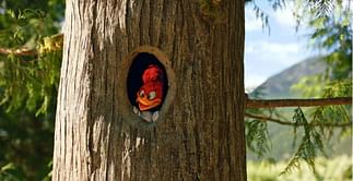 Where was Woody Woodpecker filmed? All shooting locations explored