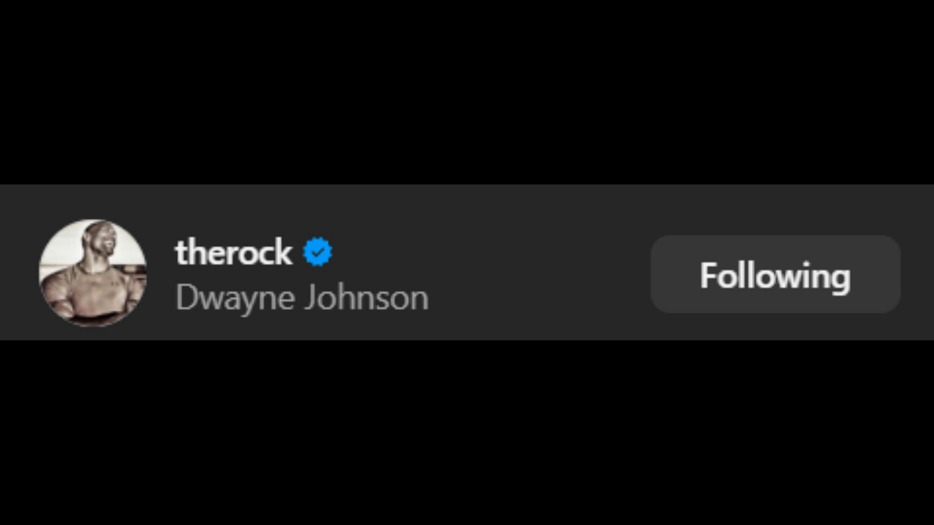 Screenshot of The Rock&#039;s like [Image credit: WWE&#039;s Instagram handle]