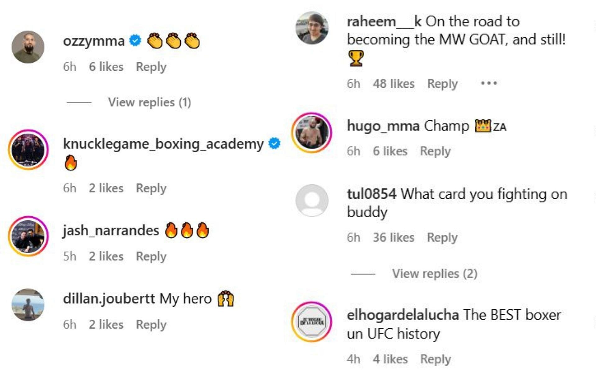 More comments on the post. [Image credit: @dricusduplessis on Instagram]