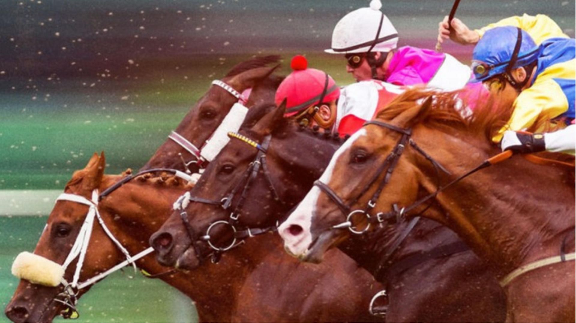 Race for the Crown (Image via Instagram/@belmontstakes)