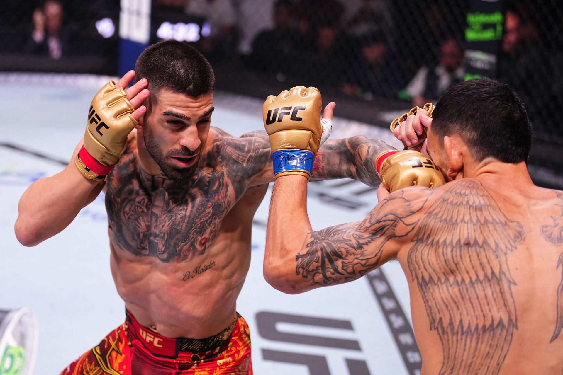 UFC 308: Topuria v Holloway - Source: Getty