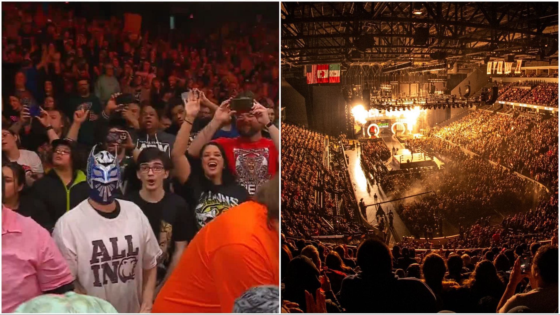 Wrestling fans attend AEW Dynasty 2025 and AEW All Out 2024