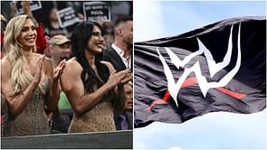Wrestling legend sends message after making first WWE appearance in 31 years
