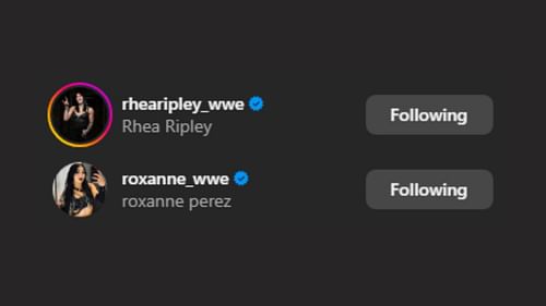 Rhea Ripley and Roxanne Perez liked the post! [Image credit: Dominik Mysterio's Instagram]