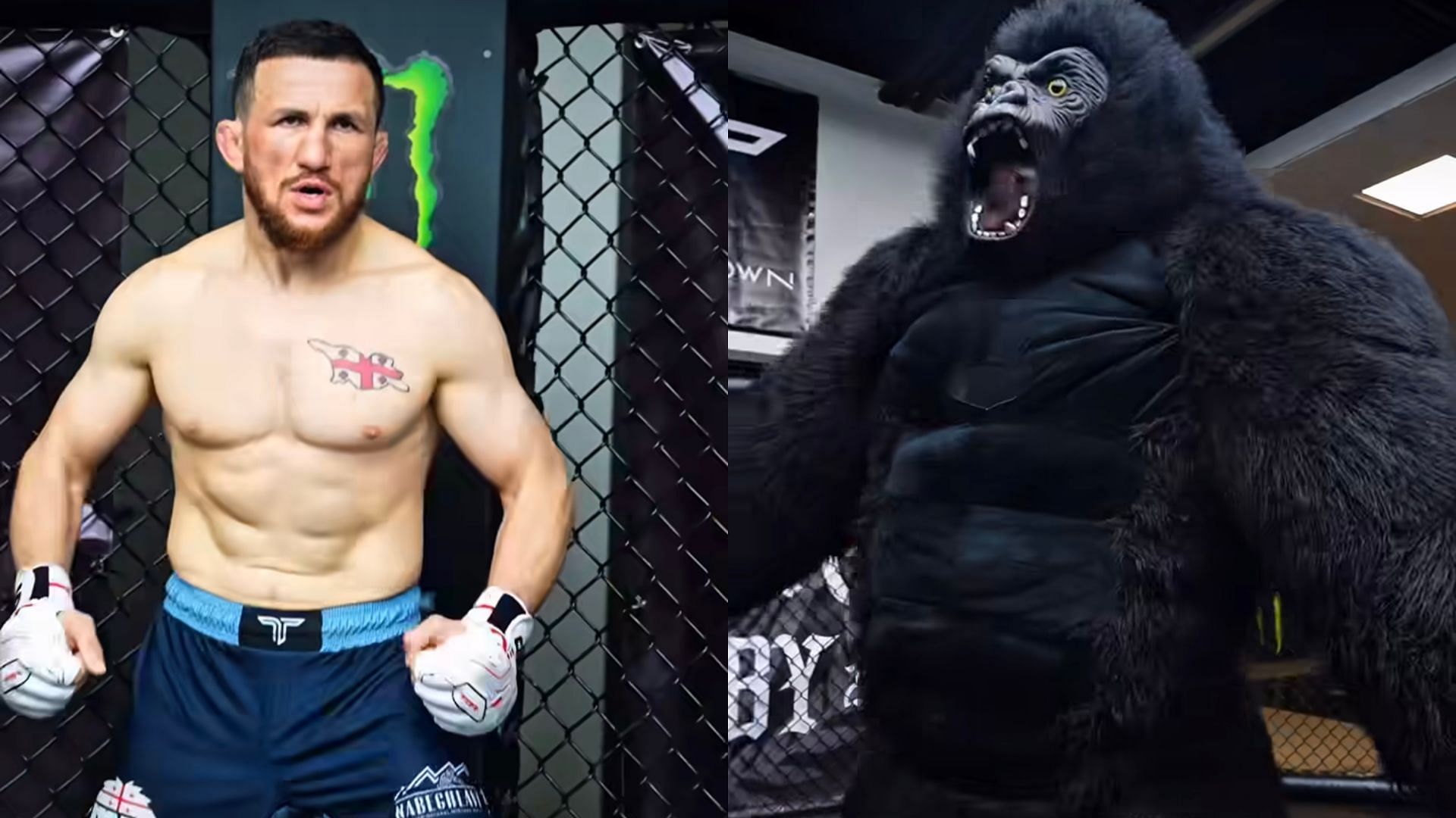 Merab Dvalishvili (left) delivers as promised against gorilla (right). [Images courtesy:@merab.dvalishvili on Instagram] 