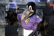Baltimore Ravens Mascot