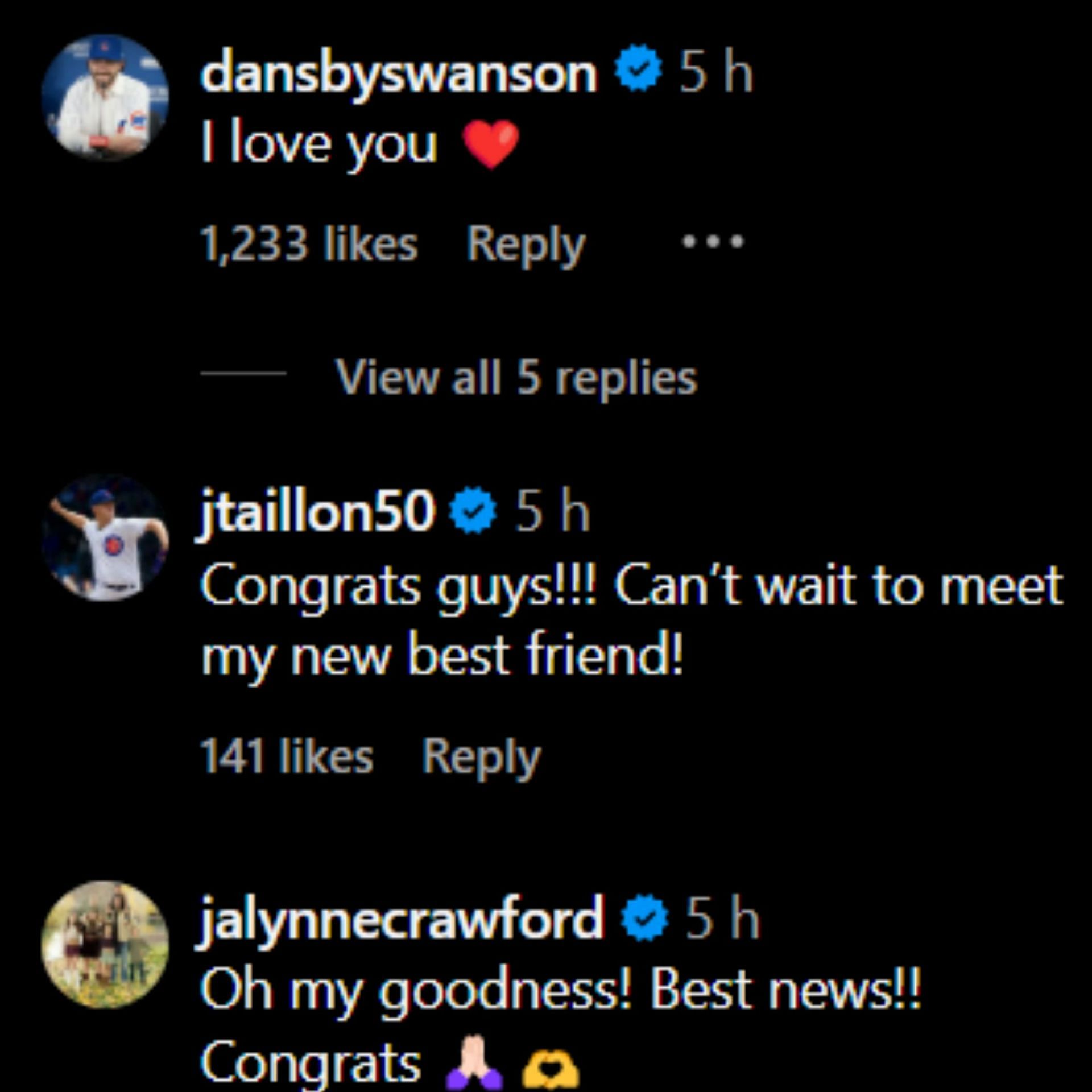 Screenshot of comments [Image Source: Instagram/malpugh]