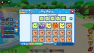 The Pets menu (Image via Roblox)