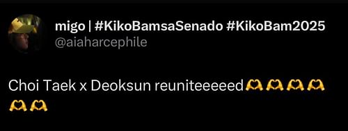 A fan comment on Lee Hye-ri and Park Bo-gum's reunion (Image via X/@aiaharcephile)