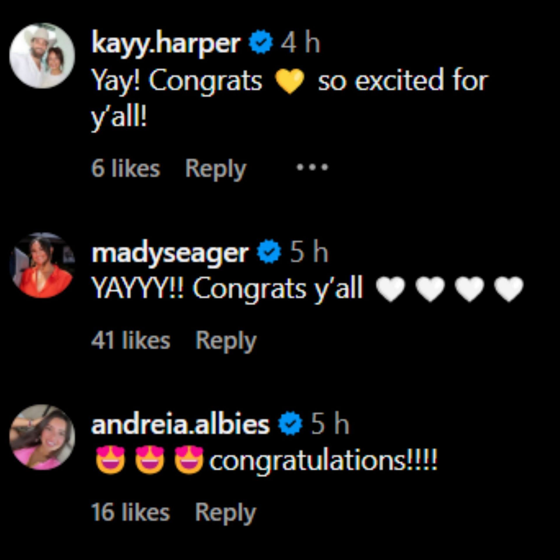 Screenshot of comments [Image Source: Instagram/malpugh]